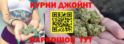 дмт Майкоп