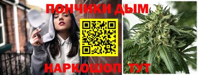 дмт Майкоп