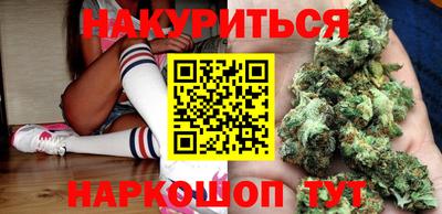 дмт Майкоп