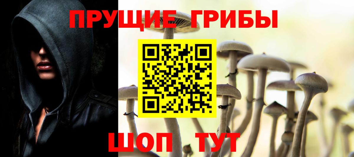 Псилоцибиновые грибы Psilocybe  Вход с VPN  Братск  Псилоцибиновые грибы прущие грибы 