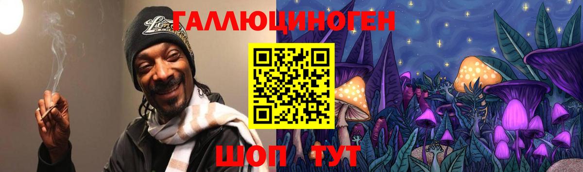 Галлюциногенные грибы Psilocybe Братск